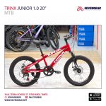 Trinx Junior 1.0 Disc 20"