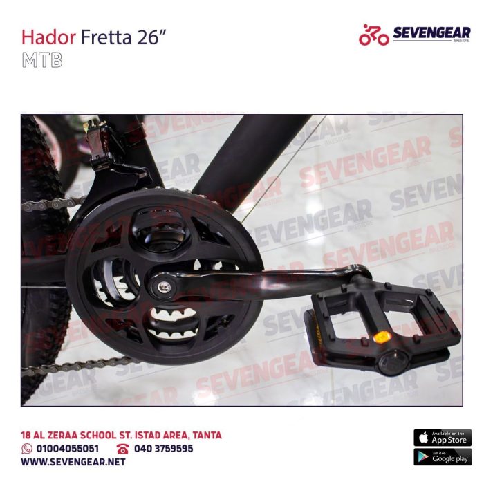 ⁦"Hadore Fretta 26⁩ - الصورة ⁦9⁩