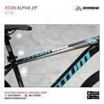 Atum Alpha 29" - Image 6
