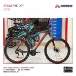 Atum Evo 29"