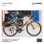 Atum Pulse - Image 2