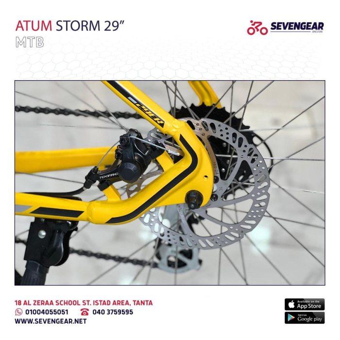 Atum Storm 29" - Image 19
