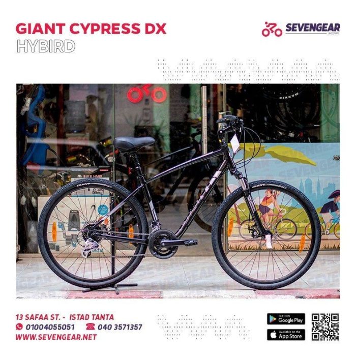 ⁦Giant Cypress DX⁩ - الصورة ⁦2⁩