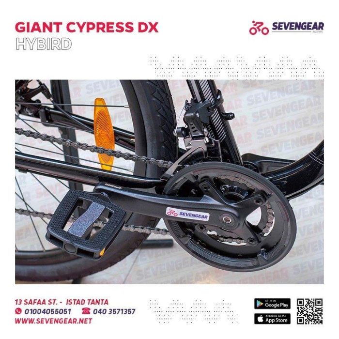 ⁦Giant Cypress DX⁩ - الصورة ⁦3⁩