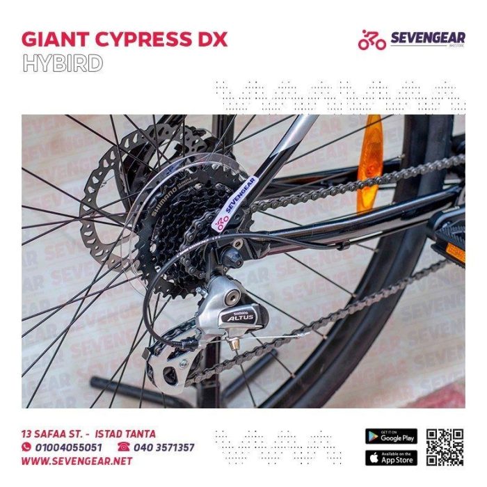 ⁦Giant Cypress DX⁩ - الصورة ⁦4⁩