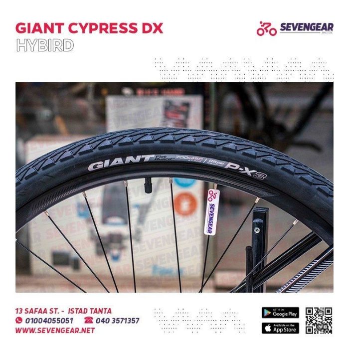 ⁦Giant Cypress DX⁩ - الصورة ⁦5⁩