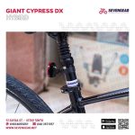 ⁦Giant Cypress DX⁩ - الصورة ⁦6⁩