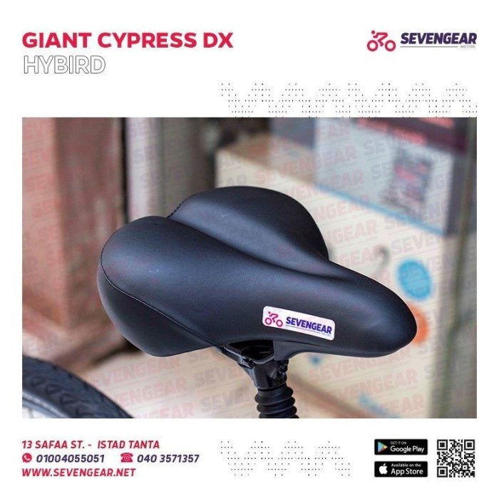 ⁦Giant Cypress DX⁩ - الصورة ⁦7⁩