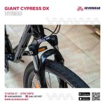 ⁦Giant Cypress DX⁩ - الصورة ⁦9⁩