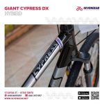 ⁦Giant Cypress DX⁩ - الصورة ⁦10⁩