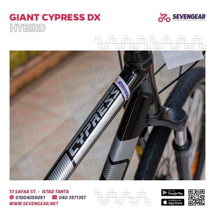 ⁦Giant Cypress DX⁩ - الصورة ⁦10⁩