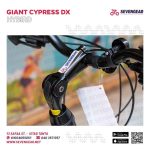 ⁦Giant Cypress DX⁩ - الصورة ⁦11⁩