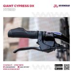 ⁦Giant Cypress DX⁩ - الصورة ⁦12⁩