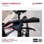 ⁦Giant Cypress DX⁩ - الصورة ⁦13⁩