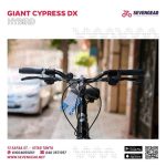⁦Giant Cypress DX⁩ - الصورة ⁦14⁩