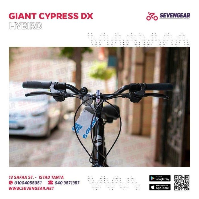 ⁦Giant Cypress DX⁩ - الصورة ⁦14⁩
