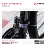 ⁦Giant Cypress DX⁩ - الصورة ⁦15⁩