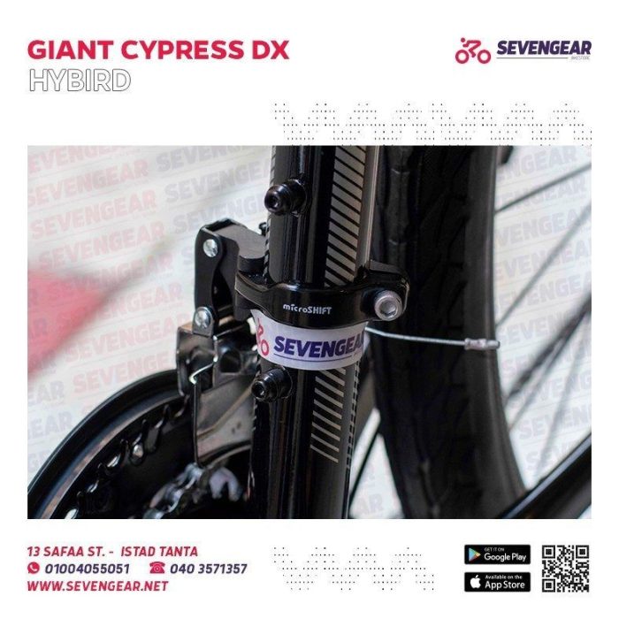 ⁦Giant Cypress DX⁩ - الصورة ⁦15⁩