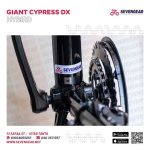 ⁦Giant Cypress DX⁩ - الصورة ⁦16⁩