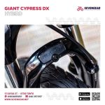 ⁦Giant Cypress DX⁩ - الصورة ⁦17⁩