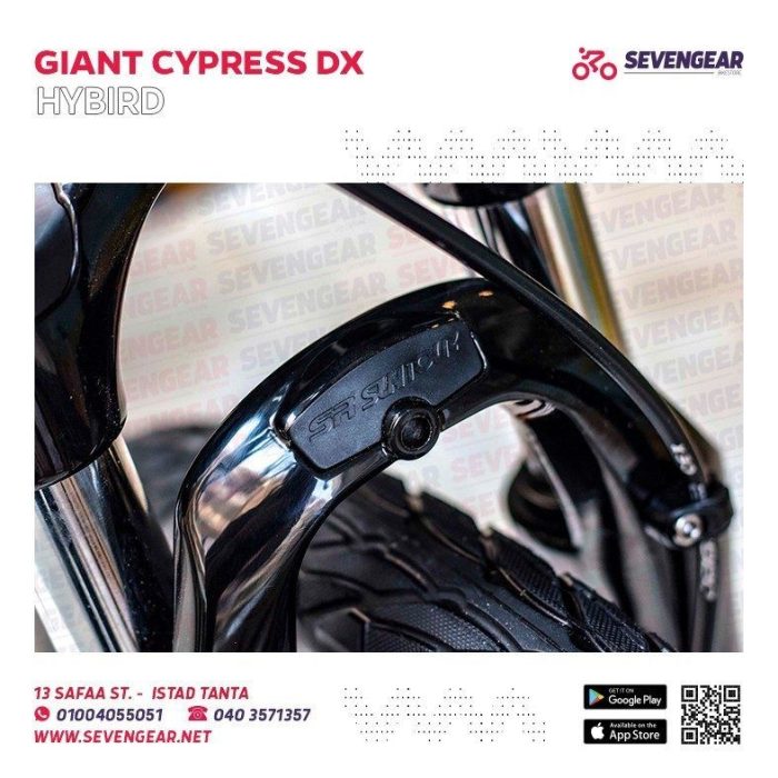 ⁦Giant Cypress DX⁩ - الصورة ⁦17⁩