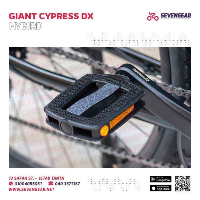 ⁦Giant Cypress DX⁩ - الصورة ⁦18⁩
