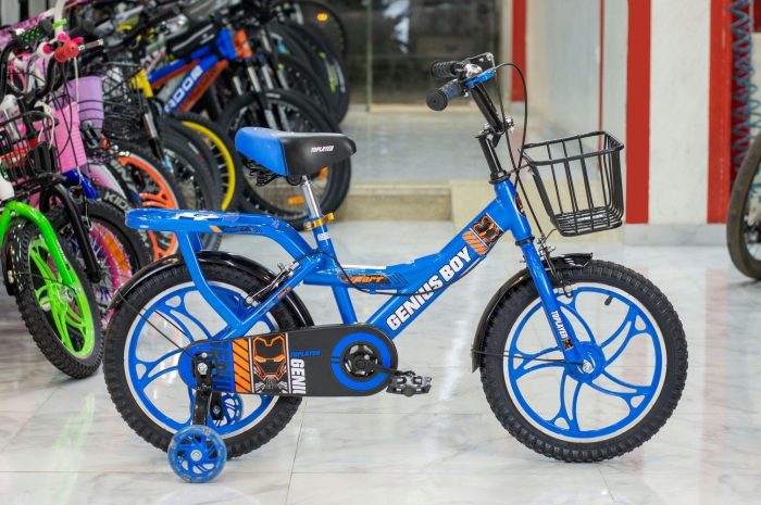 Genius Kids Bike 16" - Image 2