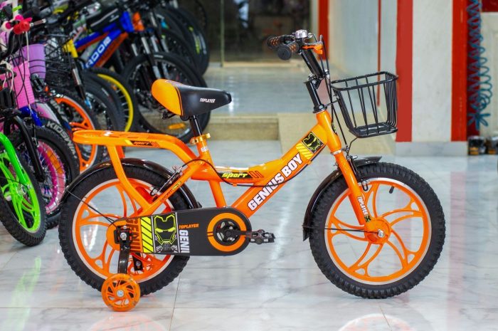 Genius Kids Bike 16" - Image 3