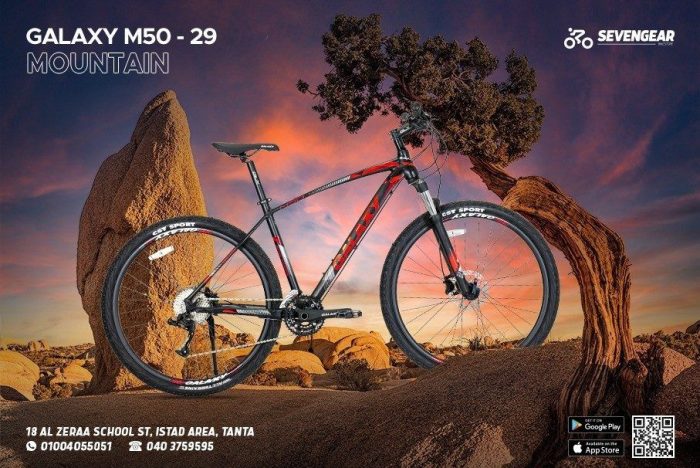 ⁦Galaxy M50 29"⁩ - الصورة ⁦3⁩