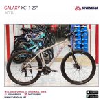 Galaxy XC11 29"