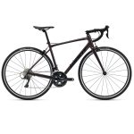 Giant Contend 1