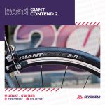 ⁦Giant Contend 2⁩ - الصورة ⁦11⁩