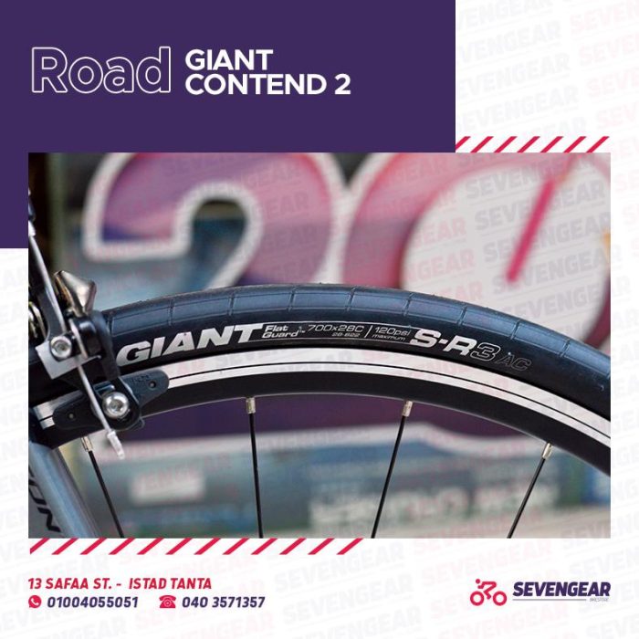 ⁦Giant Contend 2⁩ - الصورة ⁦11⁩