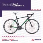 Giant Contend 2