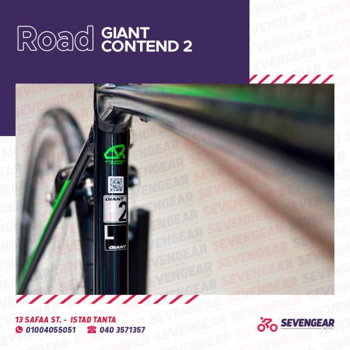 ⁦Giant Contend 2⁩ - الصورة ⁦4⁩
