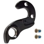 Giant Defy Rear Derailleur Hanger