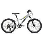 Giant XTC JR 20