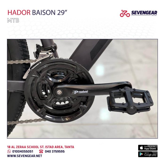 ⁦Hador Baison 29"⁩ - الصورة ⁦6⁩