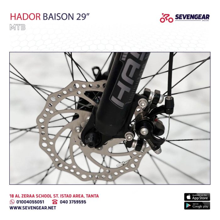 ⁦Hador Baison 29"⁩ - الصورة ⁦7⁩