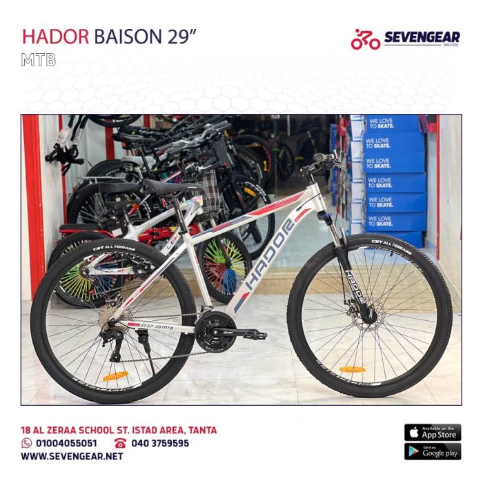 ⁦Hador Baison 29"⁩ - الصورة ⁦2⁩
