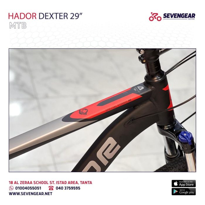 Hador Dexter 29" - Image 6