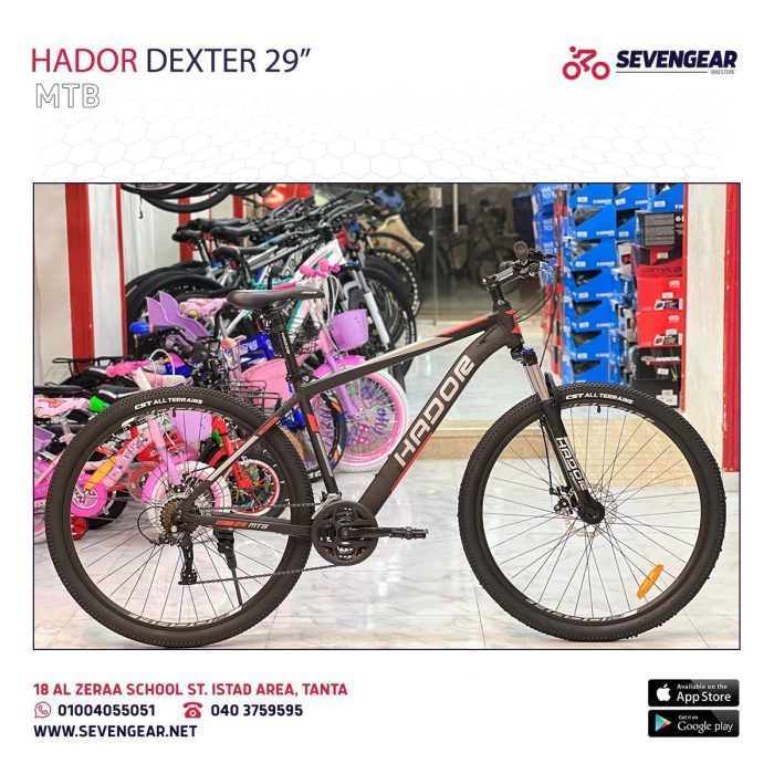 Hador Dexter 29" - Image 4