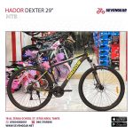 Hador Dexter 29" - Image 5
