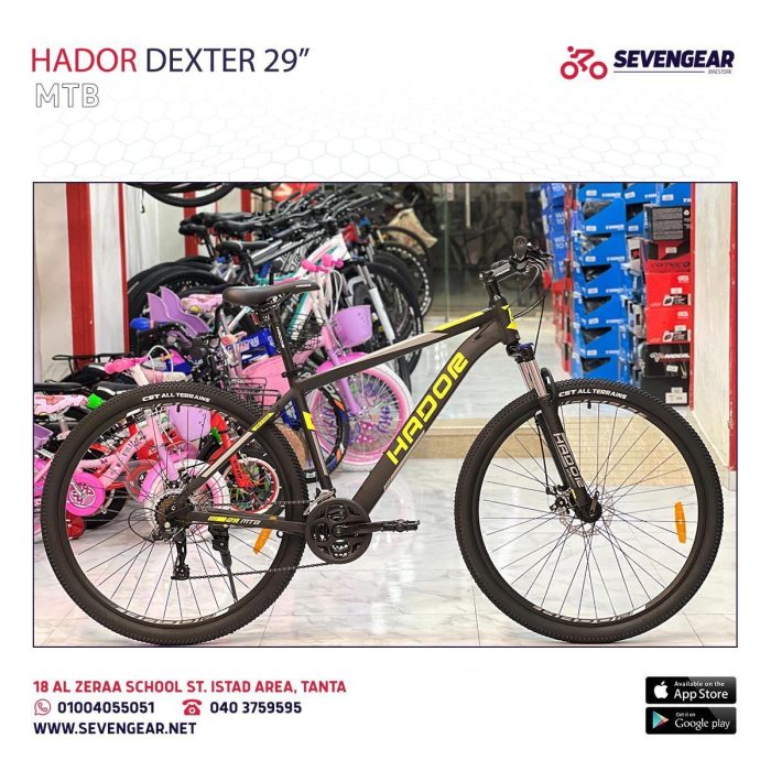 Hador Dexter 29" - Image 5