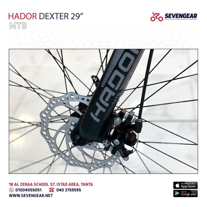 Hador Dexter 29" - Image 15