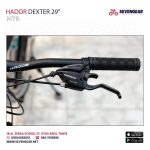 Hador Dexter 29" - Image 17