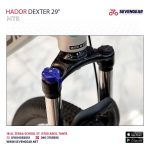Hador Dexter 29" - Image 18
