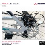 Hador Dexter 29" - Image 19