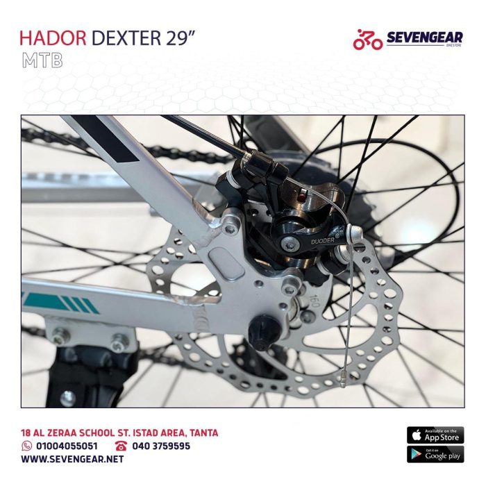 Hador Dexter 29" - Image 19