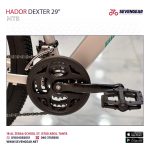 Hador Dexter 29" - Image 23